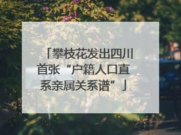 攀枝花发出四川首张“户籍人口直系亲属关系谱”